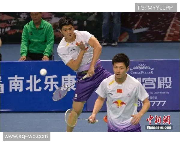 李宗伟林丹对决蔡斌傅海峰精彩录像回顾与赛后分析